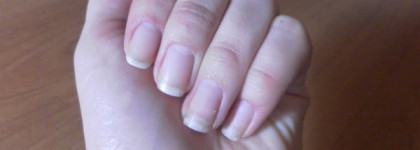 Essence. Блеск и классика