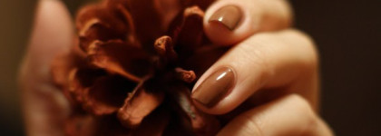 Небольшой обзор любимых лаков