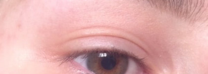 Essence - Circus Circus - stay all day eyeshadow - 01 it’s magic