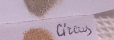 Essence - Circus Circus - stay all day eyeshadow - 02 raise the curtain for…