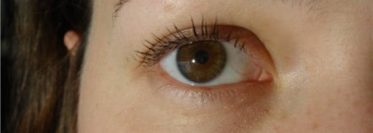 Симпатичная англичанка Rimmel  sexy curves full figure