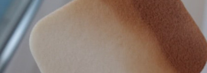 Пудра Bio detox organic №55 Dark beige от Bourjois