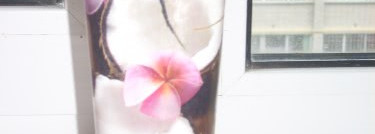 Мой уход за волосами ч.1