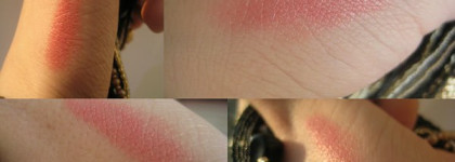 Незаменимые любимицы