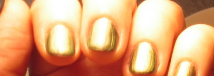 Хамелеон essence