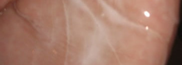 Успокаивающий кожу очищающий мягкий мусс Biosourse Biosensitive марки Biotherm