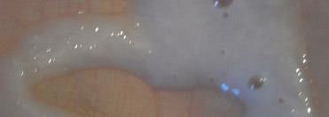 Подарок златовласке с шампунем Ibiza Party Shampoo от Lush