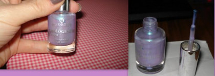 Эксперименты продолжаются:Тауп и Диско