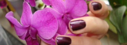 Новый лак от Essence "Vampire`s Love"