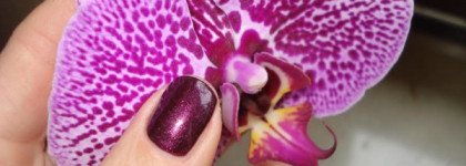 Новый лак от Essence "Vampire`s Love"