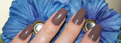 Два моих шоколадных красавца