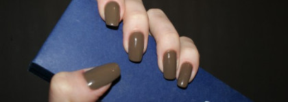 Два моих шоколадных красавца