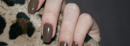 Два моих шоколадных красавца