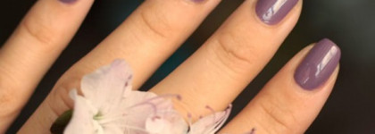 Nubar Pharaoh's purple