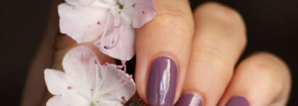 Nubar Pharaoh's purple