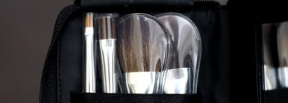 Dior Brush set - набор кистей для путешествий
