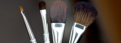 Dior Brush set - набор кистей для путешествий