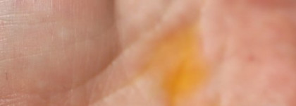 Kerastase Elixir Ultime Versatile Beautifying Oil VS The Original Moroccanoil Oil Treatment  - битва титанов?