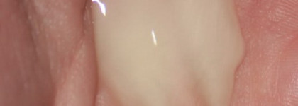 Phyto Coloured Hair  Srarter Kit - мое впечатление