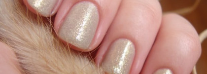 Alessandro Wild Angel