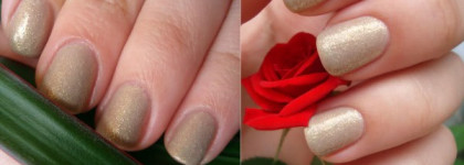 Alessandro Wild Angel