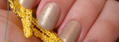 Alessandro Wild Angel