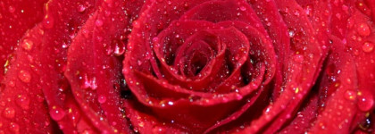 Serge Lutens La Fille De Berlin