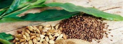 Он стал для меня такой родной и любимый Bvlgari Omnia Булгари Омниа- женские туалетные духи