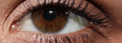 Повседневная палетка Essence quattro eyeshadow "05 to die for"