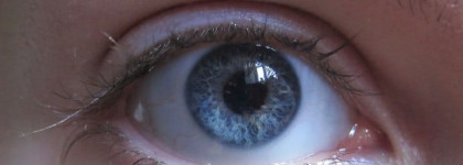 MaxFactor Lash Extension Effect