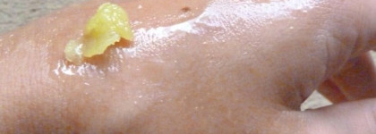 Мои любимчики от The Body Shop