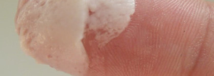 Пробный набор  Burt's Bees Tips and Toes Kit