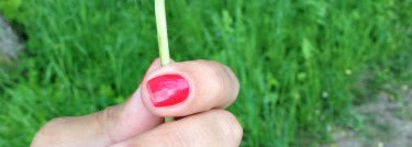 Лето с лаком  Guerlain Colour Lacquer Long-Lasting Colour & Shine 143 Nahema