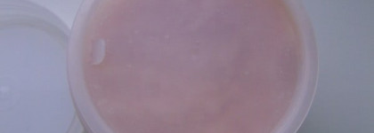 Сахарный скраб  «1001 ночь» от Savonry