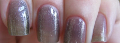 Golden Rose Paris № 68