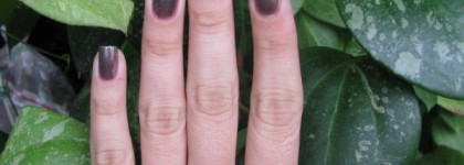 Golden Rose Paris № 68