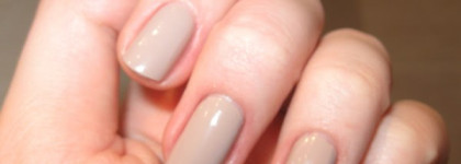 Golden Rose Rich Color №5