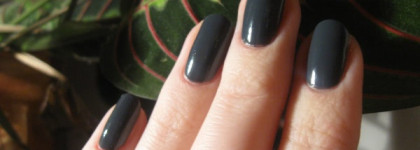 Chatte Noir N 048 ногти цвета мокрого асфальта