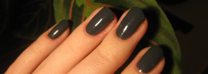 Chatte Noir N 048 ногти цвета мокрого асфальта