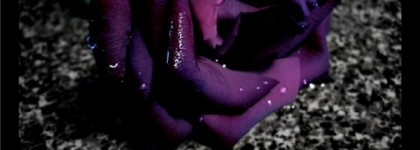 В ожидании Хэллоуина с Deep Night Ghost…