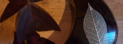 В ожидании Хэллоуина с Deep Night Ghost…