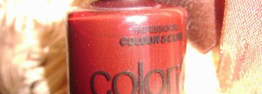 Надеюсь, мы подружимся с тобой ...Colorist №144