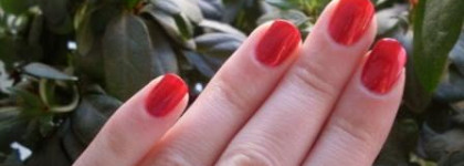 И ещё раз о новогодних праздниках: Zoya Carrie Ann