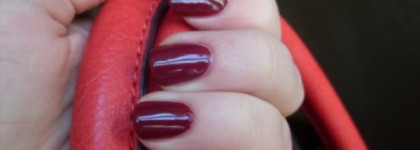 Немного о Швейцарии с OPI