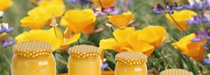 Правильный мед