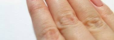 Нежная роза с лаком от Golden Rose