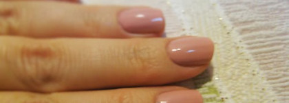 Нежная роза с лаком от Golden Rose