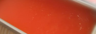 Бюджетные и бесцветные бальзамы для губ