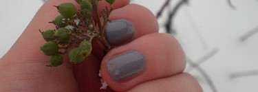 Моя любимая пыльная сирень от Danсe Legend