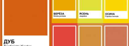 Рыжий октябрь с Yves Rocher Le Vernis